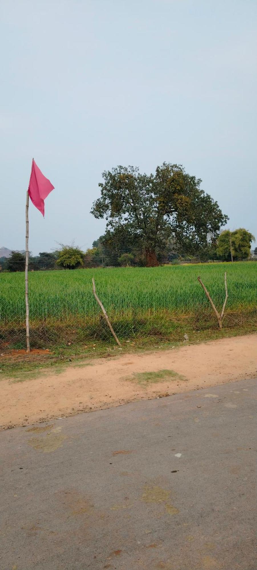 Laxmi Home Stay Ghura Exterior foto